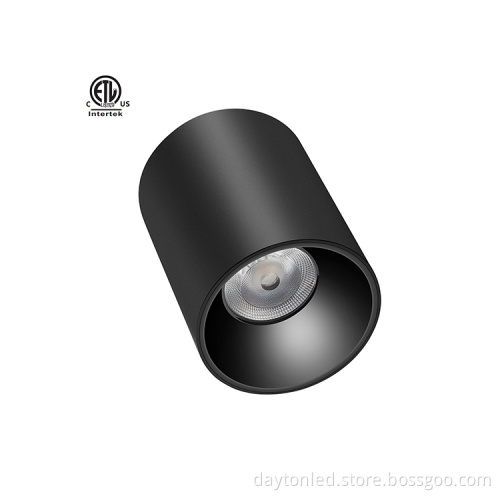Outdoor Waterproof LED Downlight with LED Spotlights for Shop Entrances at Airport Stations and Hotels